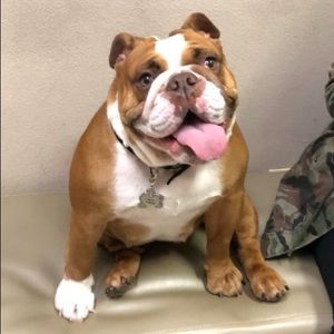 Meet your Posher, Mark